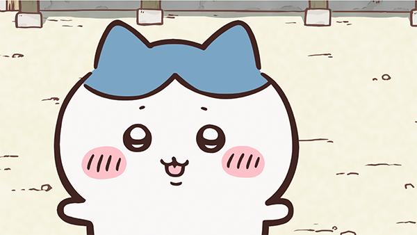 薄いベージュの床を背に、ハチワレが舌を少し出して、正面をまっすぐ見ている、アニメ「ちいかわ」第298話「拾魔⑧」の場面