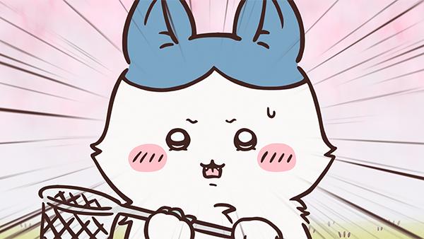 集中線の入ったピンクの背景で、青い耳のハチワレが、いつもより毛のふさふさした顔で虫とりあみを握り、汗をかいて前を見ている、アニメ「ちいかわ」第380話「パラレルワールド⑥」の場面