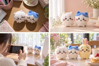 ぬいの目線・光・背景を変える写真のコツを紹介した4分割のイメージ